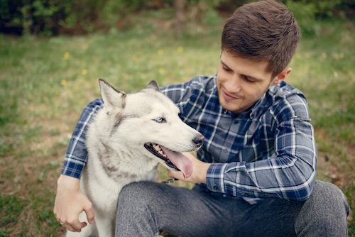 Een dieren oppas aan huis is voordelig en gemakkelijk